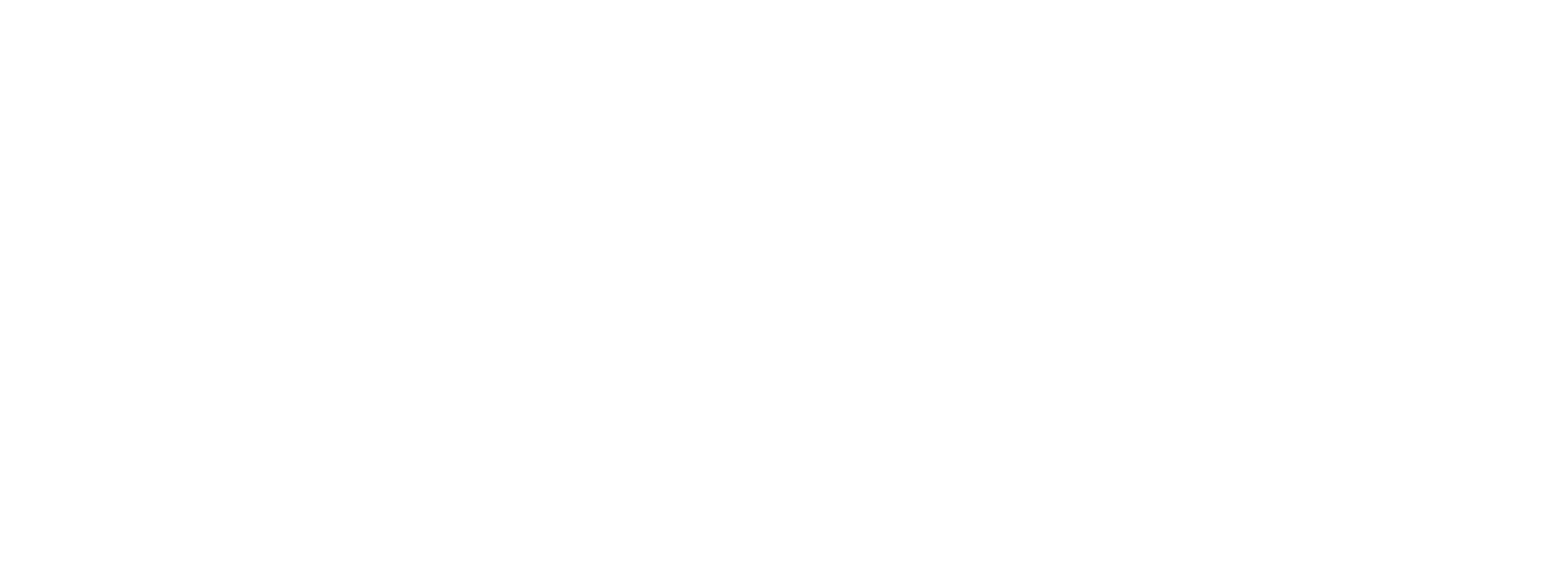 logo light